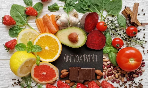 Kandungan Antioksidan Yang Sangat Bermanfaat Untuk Tubuh