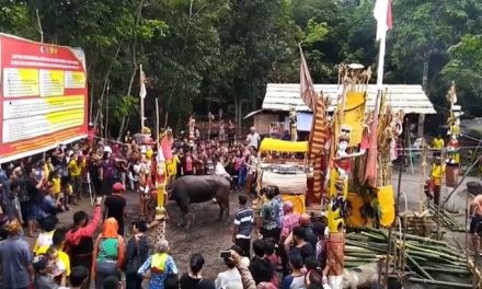 Suku Dayak Selalu Menjalankan Tradisi Tiwah