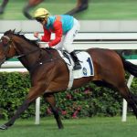 Olahraga Pacuan Yang Menggunakan Kuda Sehat Pastinya