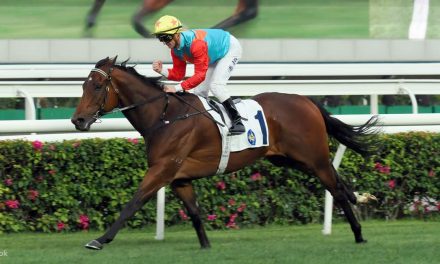 Olahraga Pacuan Yang Menggunakan Kuda Sehat Pastinya