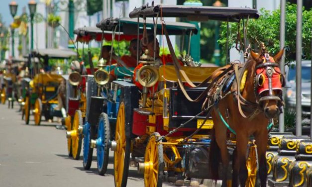 Sebuah Angkutan Andong Atau Kendaraan Tradisional Yogyakarta
