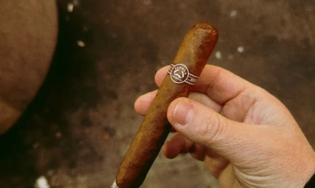 Pemakaian Tembakau Tebal Untuk Rokok Atau Cerutu
