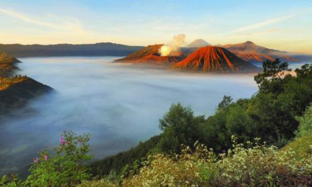 Puncak Alam Semeru Yang Memiliki Keindahan Tanpa Batas