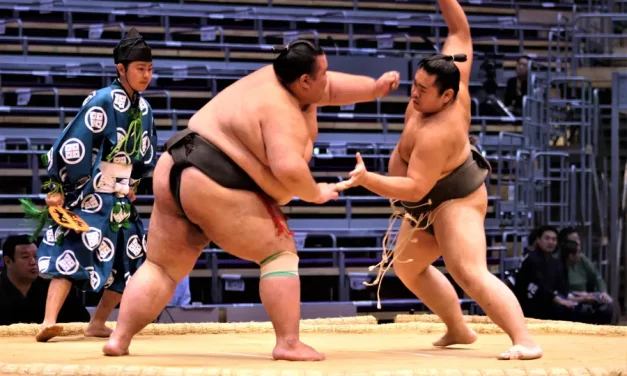Olahraga Berbadan Besar Sumo Dengan Beberapa Teknik