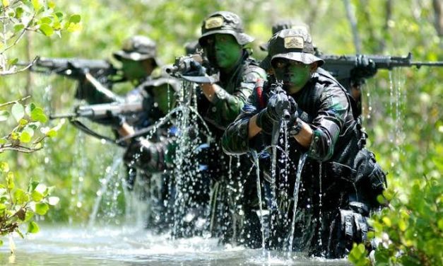 Seorang Anggota Prajurit Dengan Tugas Keamanan