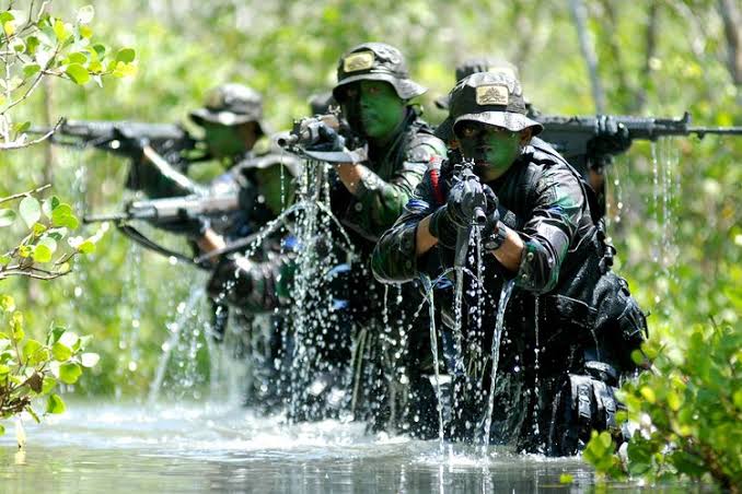 Seorang Anggota Prajurit Dengan Tugas Keamanan