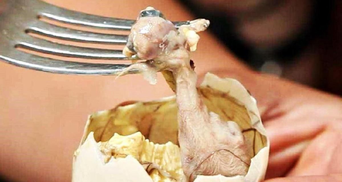 Makanan Unik Filipina Yang Cukup Ekstrem Balut