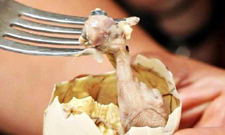 Makanan Unik Filipina Yang Cukup Ekstrem Balut