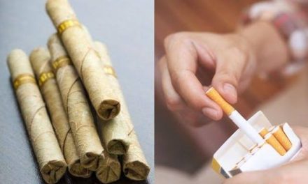 Pembuatan Olahan Tembakau Menjadi Sebuah Rokok