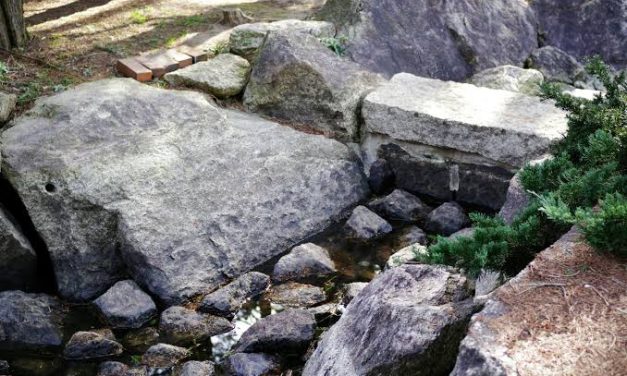 Bebatuan Padat Alami Sebuah Material Bumi