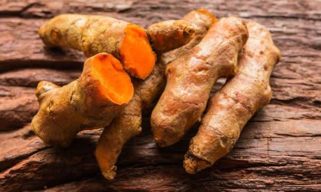 Tumbuhan Rempah Kunyit Berwarna Orange Dan Bermanfaat