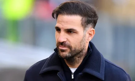 Pemain Hebat Fabregas Dalam Sepakbola Dunia